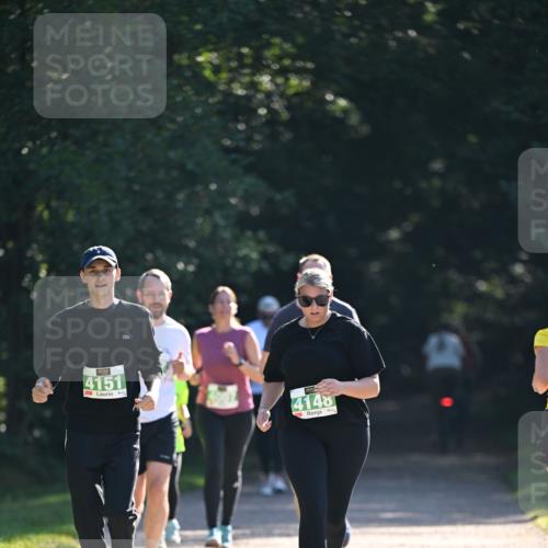22.09.2024 - 32. Volkslauf durch das schöne Alstertal Dr. Thomas Lammeyer http://msf.ph/oto/7112901 22.09.2024 10:56:53 Laufen 4151, 4148 meine-sportfotos.de