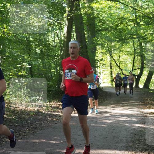 22.09.2024 - 32. Volkslauf durch das schöne Alstertal Miley Keyser http://msf.ph/oto/7134863 22.09.2024 10:52:11 Laufen 337, 3123 meine-sportfotos.de