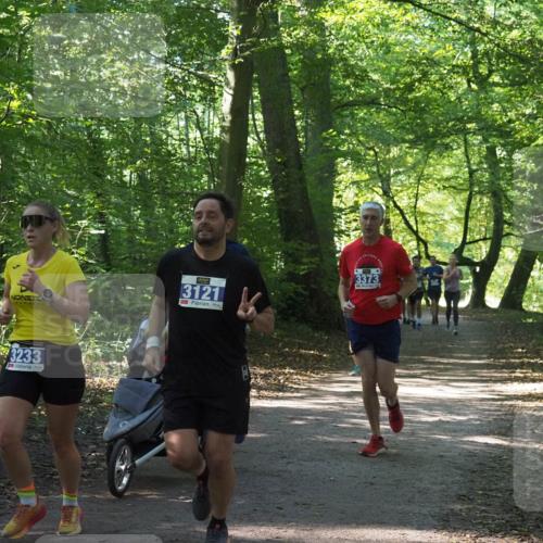 22.09.2024 - 32. Volkslauf durch das schöne Alstertal Miley Keyser http://msf.ph/oto/7134870 22.09.2024 10:52:10 Laufen 3121, 3373, 3233 meine-sportfotos.de