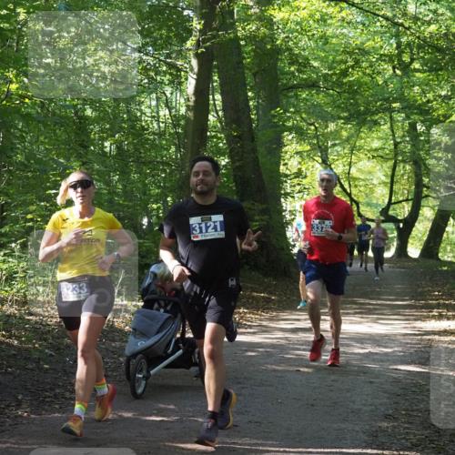 22.09.2024 - 32. Volkslauf durch das schöne Alstertal Miley Keyser http://msf.ph/oto/7134872 22.09.2024 10:52:10 Laufen 3233, 3121 meine-sportfotos.de