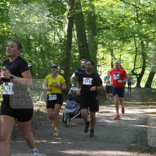 22.09.2024 - 32. Volkslauf durch das schöne Alstertal Miley Keyser http://msf.ph/oto/7134874 22.09.2024 10:52:10 Laufen 303, 3233, 3121, 3373 meine-sportfotos.de