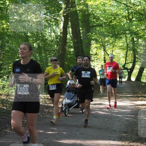 22.09.2024 - 32. Volkslauf durch das schöne Alstertal Miley Keyser http://msf.ph/oto/7134875 22.09.2024 10:52:09 Laufen 3303, 3233, 3121, 123, 336 meine-sportfotos.de