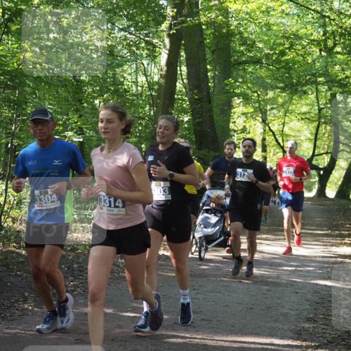 22.09.2024 - 32. Volkslauf durch das schöne Alstertal Miley Keyser http://msf.ph/oto/7134877 22.09.2024 10:52:09 Laufen 11, 2016, 3304, 3314, 303, 3373, 312 meine-sportfotos.de