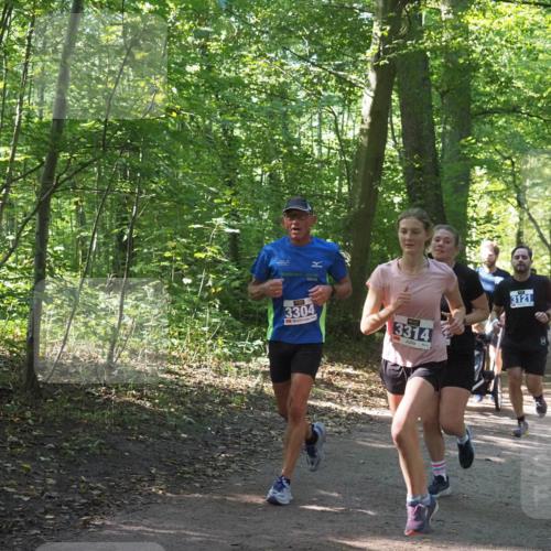 22.09.2024 - 32. Volkslauf durch das schöne Alstertal Miley Keyser http://msf.ph/oto/7134879 22.09.2024 10:52:08 Laufen 3304, 3314, 3373, 3121 meine-sportfotos.de