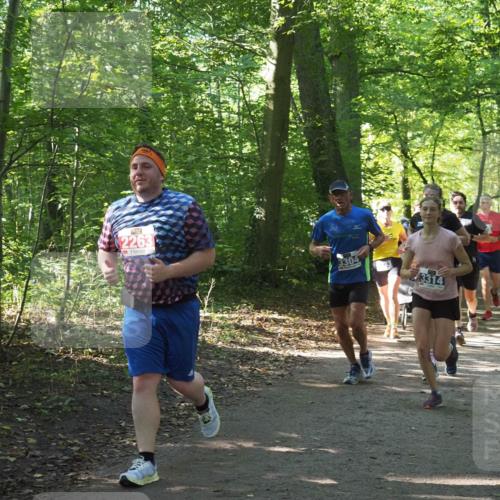 22.09.2024 - 32. Volkslauf durch das schöne Alstertal Miley Keyser http://msf.ph/oto/7134881 22.09.2024 10:52:07 Laufen 2263, 3304, 3314 meine-sportfotos.de