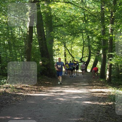 22.09.2024 - 32. Volkslauf durch das schöne Alstertal Miley Keyser http://msf.ph/oto/7134886 22.09.2024 10:52:01 Laufen  meine-sportfotos.de