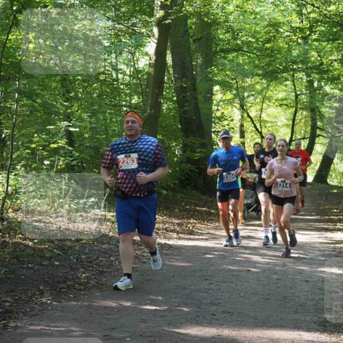 22.09.2024 - 32. Volkslauf durch das schöne Alstertal Miley Keyser http://msf.ph/oto/7134887 22.09.2024 10:52:07 Laufen 2263, 3304, 3314 meine-sportfotos.de