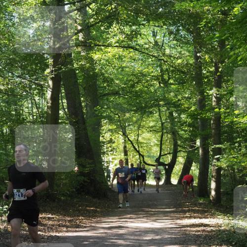 22.09.2024 - 32. Volkslauf durch das schöne Alstertal Miley Keyser http://msf.ph/oto/7134890 22.09.2024 10:52:00 Laufen 3217 meine-sportfotos.de