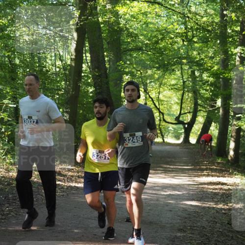 22.09.2024 - 32. Volkslauf durch das schöne Alstertal Miley Keyser http://msf.ph/oto/7134893 22.09.2024 10:51:56 Laufen 3037, 3251, 3249 meine-sportfotos.de