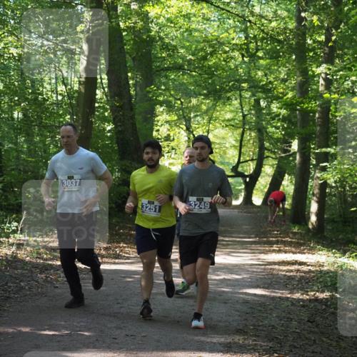 22.09.2024 - 32. Volkslauf durch das schöne Alstertal Miley Keyser http://msf.ph/oto/7134894 22.09.2024 10:51:56 Laufen 3037, 3251, 3249 meine-sportfotos.de