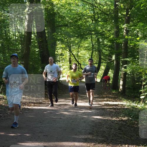 22.09.2024 - 32. Volkslauf durch das schöne Alstertal Miley Keyser http://msf.ph/oto/7134901 22.09.2024 10:51:54 Laufen 3384, 3037, 3251, 3249 meine-sportfotos.de