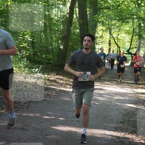 22.09.2024 - 32. Volkslauf durch das schöne Alstertal Miley Keyser http://msf.ph/oto/7134912 22.09.2024 10:51:47 Laufen 5052, 3196, 3362 meine-sportfotos.de