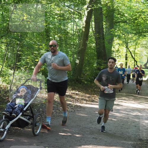 22.09.2024 - 32. Volkslauf durch das schöne Alstertal Miley Keyser http://msf.ph/oto/7134915 22.09.2024 10:51:46 Laufen 3052, 10, 3362 meine-sportfotos.de