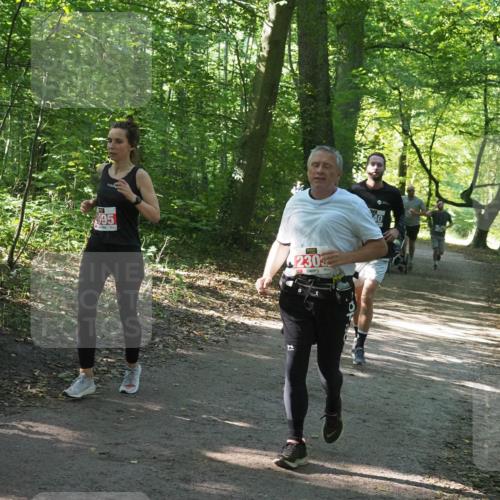 22.09.2024 - 32. Volkslauf durch das schöne Alstertal Miley Keyser http://msf.ph/oto/7134923 22.09.2024 10:51:39 Laufen 095, 230 meine-sportfotos.de