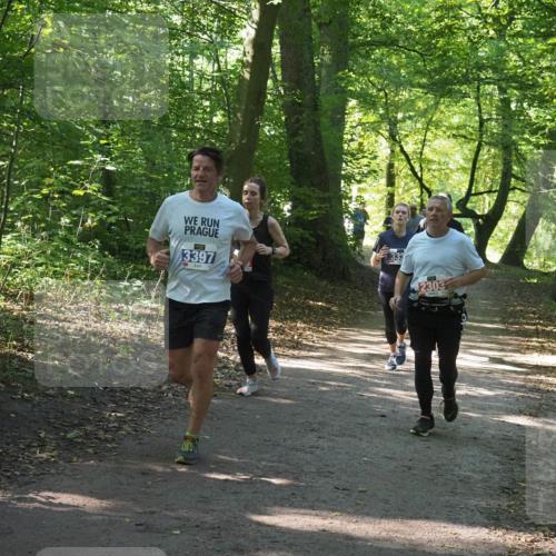 22.09.2024 - 32. Volkslauf durch das schöne Alstertal Miley Keyser http://msf.ph/oto/7134926 22.09.2024 10:51:38 Laufen 3397, 333, 2303 meine-sportfotos.de