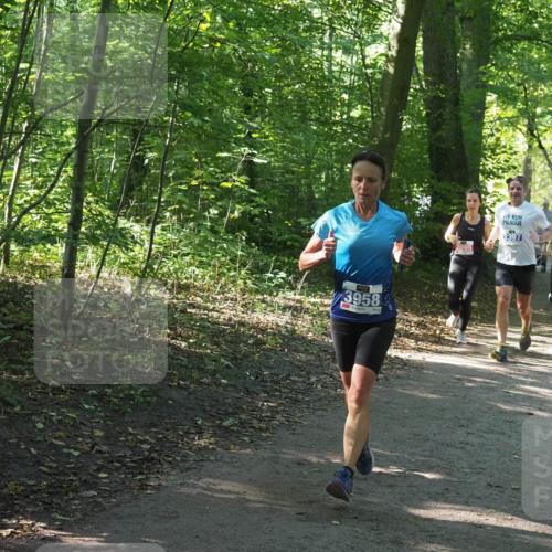 22.09.2024 - 32. Volkslauf durch das schöne Alstertal Miley Keyser http://msf.ph/oto/7134929 22.09.2024 10:51:36 Laufen 3958, 3397 meine-sportfotos.de