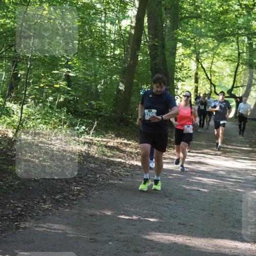 22.09.2024 - 32. Volkslauf durch das schöne Alstertal Miley Keyser http://msf.ph/oto/7134946 22.09.2024 10:51:30 Laufen 3266, 2082 meine-sportfotos.de
