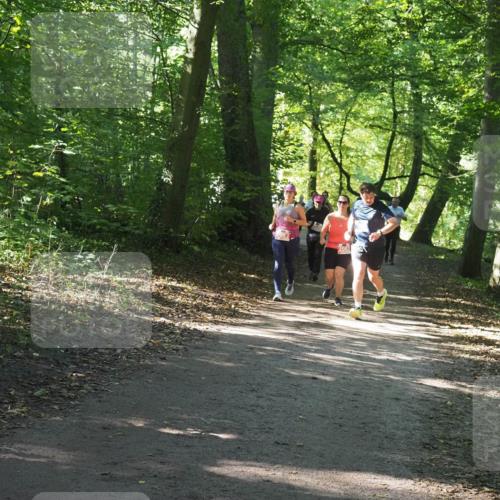 22.09.2024 - 32. Volkslauf durch das schöne Alstertal Miley Keyser http://msf.ph/oto/7134950 22.09.2024 10:51:28 Laufen 2083, 2082 meine-sportfotos.de