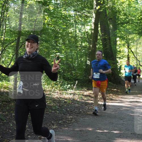 22.09.2024 - 32. Volkslauf durch das schöne Alstertal Miley Keyser http://msf.ph/oto/7134973 22.09.2024 10:51:20 Laufen 73, 3390 meine-sportfotos.de