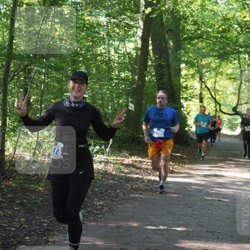 22.09.2024 - 32. Volkslauf durch das schöne Alstertal Miley Keyser http://msf.ph/oto/7134975 22.09.2024 10:51:19 Laufen 73, 3390 meine-sportfotos.de