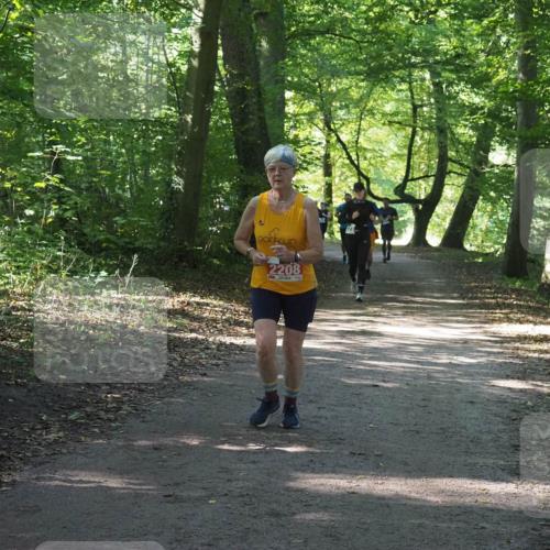 22.09.2024 - 32. Volkslauf durch das schöne Alstertal Miley Keyser http://msf.ph/oto/7134982 22.09.2024 10:51:15 Laufen 2208 meine-sportfotos.de