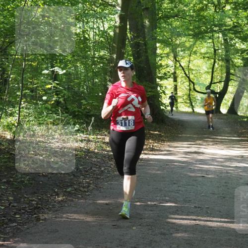 22.09.2024 - 32. Volkslauf durch das schöne Alstertal Miley Keyser http://msf.ph/oto/7134986 22.09.2024 10:51:07 Laufen 3118 meine-sportfotos.de
