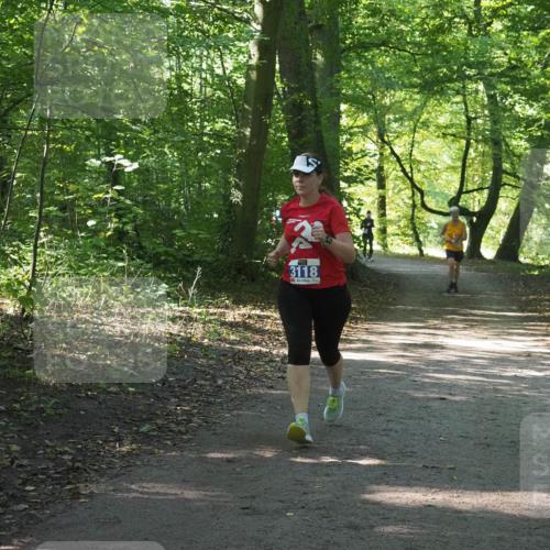 22.09.2024 - 32. Volkslauf durch das schöne Alstertal Miley Keyser http://msf.ph/oto/7134991 22.09.2024 10:51:07 Laufen 3118 meine-sportfotos.de