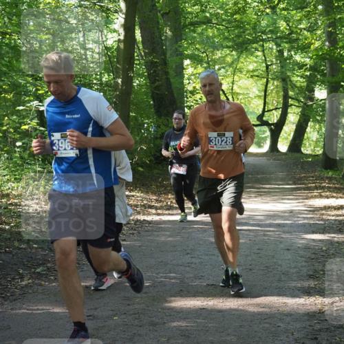 22.09.2024 - 32. Volkslauf durch das schöne Alstertal Miley Keyser http://msf.ph/oto/7135004 22.09.2024 10:51:01 Laufen 396, 3028, 2046 meine-sportfotos.de