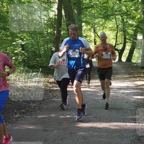 22.09.2024 - 32. Volkslauf durch das schöne Alstertal Miley Keyser http://msf.ph/oto/7135005 22.09.2024 10:51:00 Laufen 3359, 210, 3964, 3028 meine-sportfotos.de