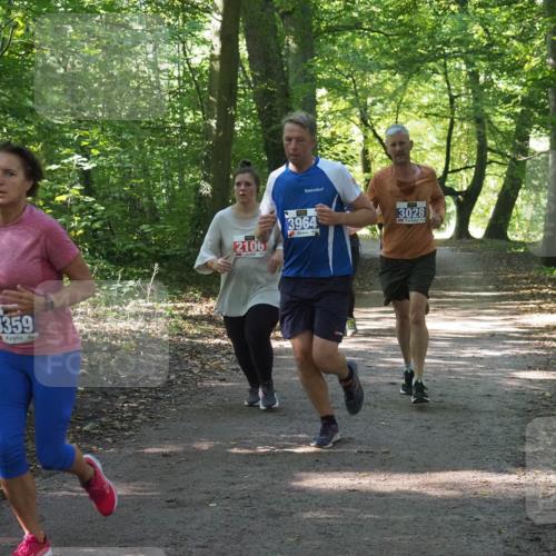 22.09.2024 - 32. Volkslauf durch das schöne Alstertal Miley Keyser http://msf.ph/oto/7135007 22.09.2024 10:51:00 Laufen 3359, 2106, 3964, 3028 meine-sportfotos.de
