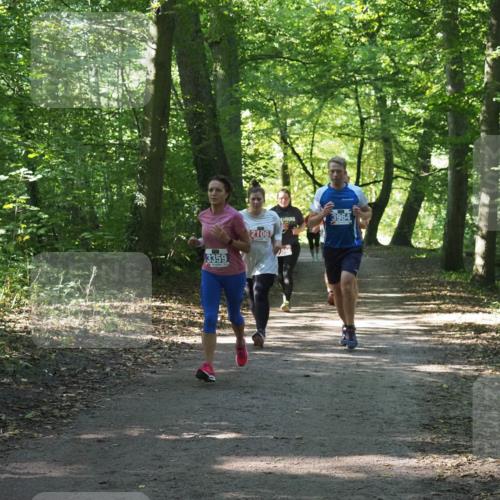 22.09.2024 - 32. Volkslauf durch das schöne Alstertal Miley Keyser http://msf.ph/oto/7135011 22.09.2024 10:50:59 Laufen 3359, 2106, 3964 meine-sportfotos.de