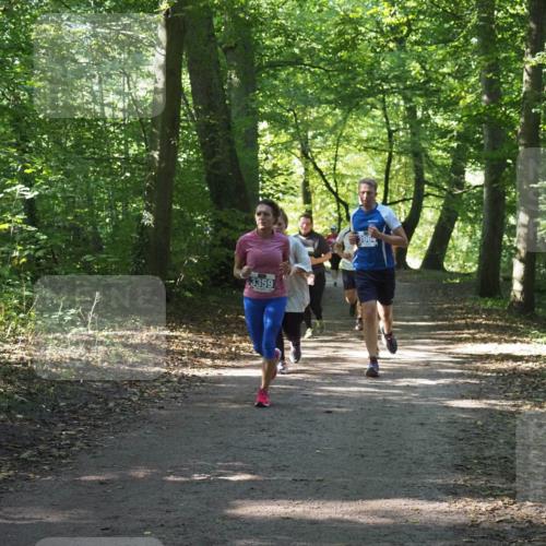 22.09.2024 - 32. Volkslauf durch das schöne Alstertal Miley Keyser http://msf.ph/oto/7135014 22.09.2024 10:50:58 Laufen 13359, 3964 meine-sportfotos.de