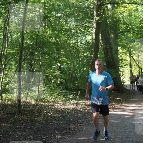 22.09.2024 - 32. Volkslauf durch das schöne Alstertal Miley Keyser http://msf.ph/oto/7135020 22.09.2024 10:50:52 Laufen 3059 meine-sportfotos.de