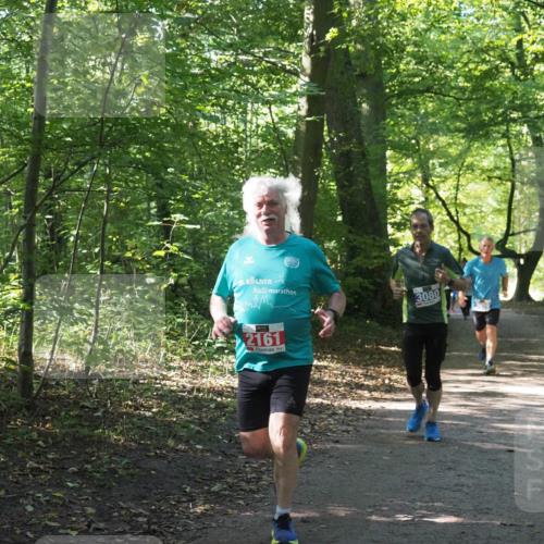 22.09.2024 - 32. Volkslauf durch das schöne Alstertal Miley Keyser http://msf.ph/oto/7135027 22.09.2024 10:50:49 Laufen 5, 3080, 2161 meine-sportfotos.de