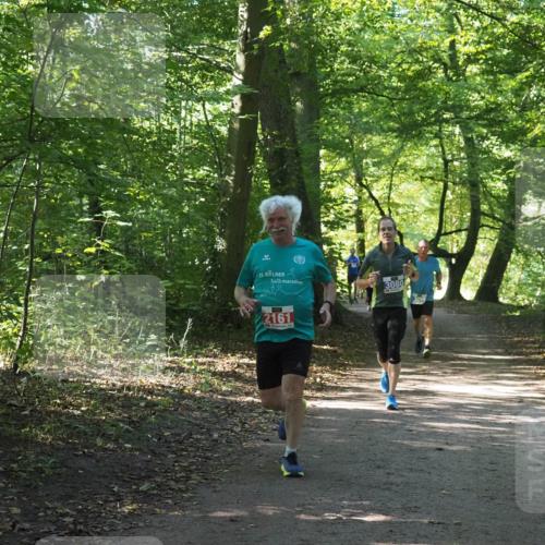 22.09.2024 - 32. Volkslauf durch das schöne Alstertal Miley Keyser http://msf.ph/oto/7135028 22.09.2024 10:50:48 Laufen 25, 3080, 2161 meine-sportfotos.de