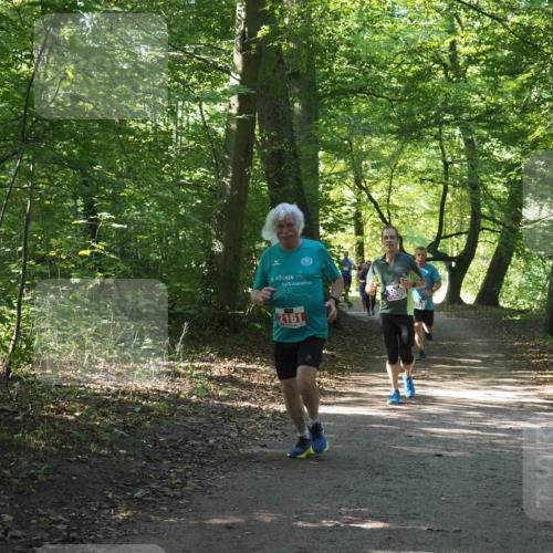 22.09.2024 - 32. Volkslauf durch das schöne Alstertal Miley Keyser http://msf.ph/oto/7135032 22.09.2024 10:50:48 Laufen 25, 2161, 3080 meine-sportfotos.de