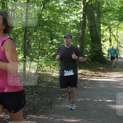 22.09.2024 - 32. Volkslauf durch das schöne Alstertal Miley Keyser http://msf.ph/oto/7135034 22.09.2024 10:50:41 Laufen 46, 3342 meine-sportfotos.de