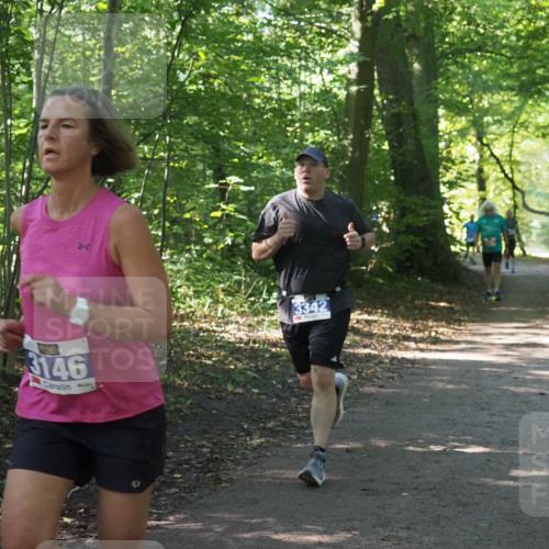 22.09.2024 - 32. Volkslauf durch das schöne Alstertal Miley Keyser http://msf.ph/oto/7135039 22.09.2024 10:50:41 Laufen 3146, 3342 meine-sportfotos.de