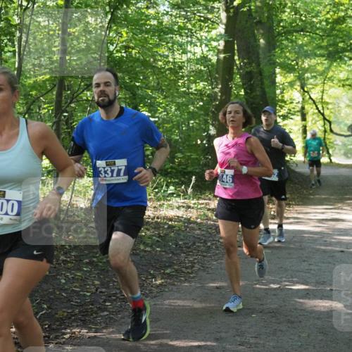 22.09.2024 - 32. Volkslauf durch das schöne Alstertal Miley Keyser http://msf.ph/oto/7135040 22.09.2024 10:50:40 Laufen 3200, 200, 3377, 146 meine-sportfotos.de