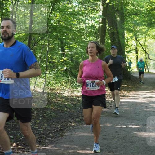 22.09.2024 - 32. Volkslauf durch das schöne Alstertal Miley Keyser http://msf.ph/oto/7135043 22.09.2024 10:50:40 Laufen 33, 314, 42 meine-sportfotos.de