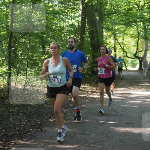 22.09.2024 - 32. Volkslauf durch das schöne Alstertal Miley Keyser http://msf.ph/oto/7135045 22.09.2024 10:50:39 Laufen 3200, 77, 3146 meine-sportfotos.de
