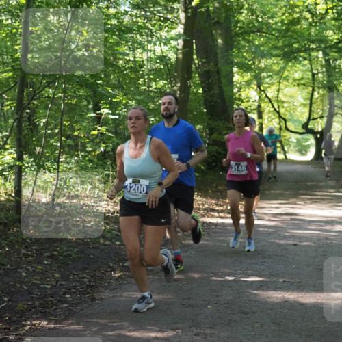 22.09.2024 - 32. Volkslauf durch das schöne Alstertal Miley Keyser http://msf.ph/oto/7135046 22.09.2024 10:50:39 Laufen 3200, 3146 meine-sportfotos.de