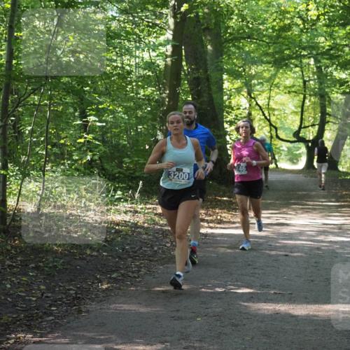 22.09.2024 - 32. Volkslauf durch das schöne Alstertal Miley Keyser http://msf.ph/oto/7135049 22.09.2024 10:50:39 Laufen 3200, 146 meine-sportfotos.de