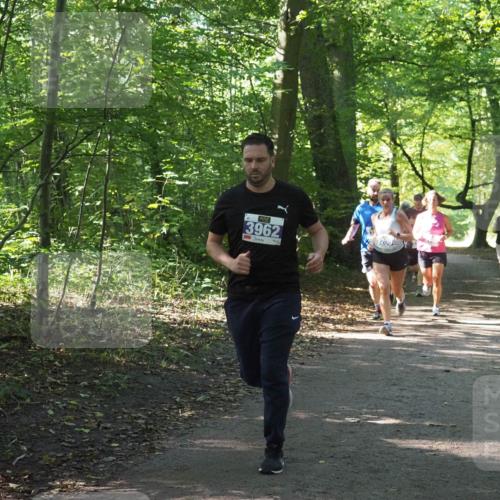 22.09.2024 - 32. Volkslauf durch das schöne Alstertal Miley Keyser http://msf.ph/oto/7135053 22.09.2024 10:50:37 Laufen 3962, 3200 meine-sportfotos.de