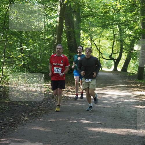 22.09.2024 - 32. Volkslauf durch das schöne Alstertal Miley Keyser http://msf.ph/oto/7135063 22.09.2024 10:50:27 Laufen 3170, 3144 meine-sportfotos.de