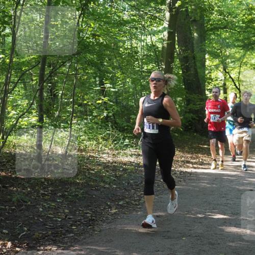 22.09.2024 - 32. Volkslauf durch das schöne Alstertal Miley Keyser http://msf.ph/oto/7135067 22.09.2024 10:50:26 Laufen 3178 meine-sportfotos.de