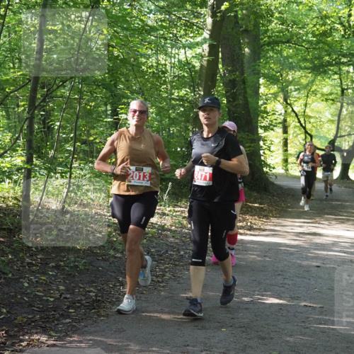 22.09.2024 - 32. Volkslauf durch das schöne Alstertal Miley Keyser http://msf.ph/oto/7135072 22.09.2024 10:50:22 Laufen 2013, 2471 meine-sportfotos.de