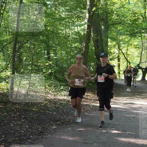 22.09.2024 - 32. Volkslauf durch das schöne Alstertal Miley Keyser http://msf.ph/oto/7135077 22.09.2024 10:50:21 Laufen 2013, 2471 meine-sportfotos.de