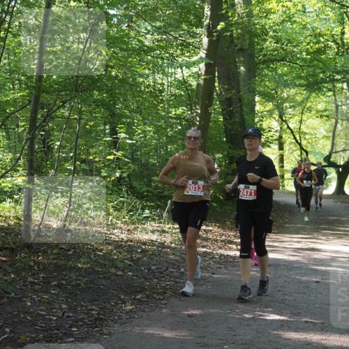 22.09.2024 - 32. Volkslauf durch das schöne Alstertal Miley Keyser http://msf.ph/oto/7135078 22.09.2024 10:50:21 Laufen 2013, 2471 meine-sportfotos.de