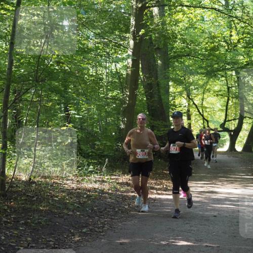 22.09.2024 - 32. Volkslauf durch das schöne Alstertal Miley Keyser http://msf.ph/oto/7135080 22.09.2024 10:50:21 Laufen 2013, 2471 meine-sportfotos.de